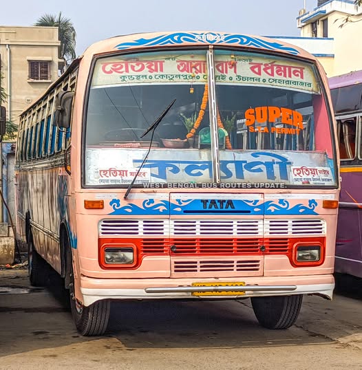 Bus