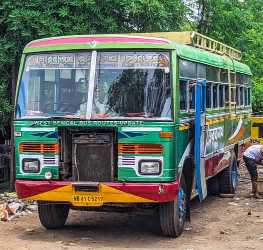 Bus