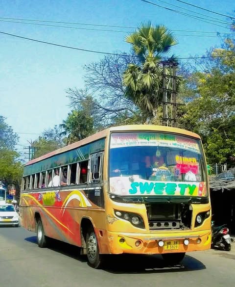 Bus