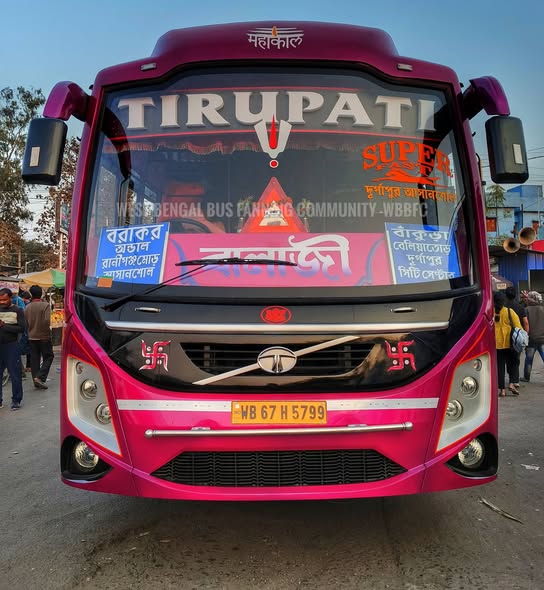 Bus