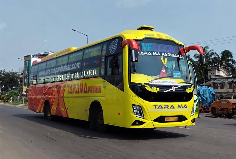Bus