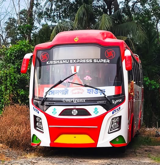 Bus