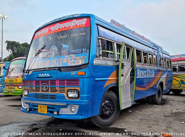 Bus